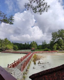 Gambar Hutan Pinus Lahendong